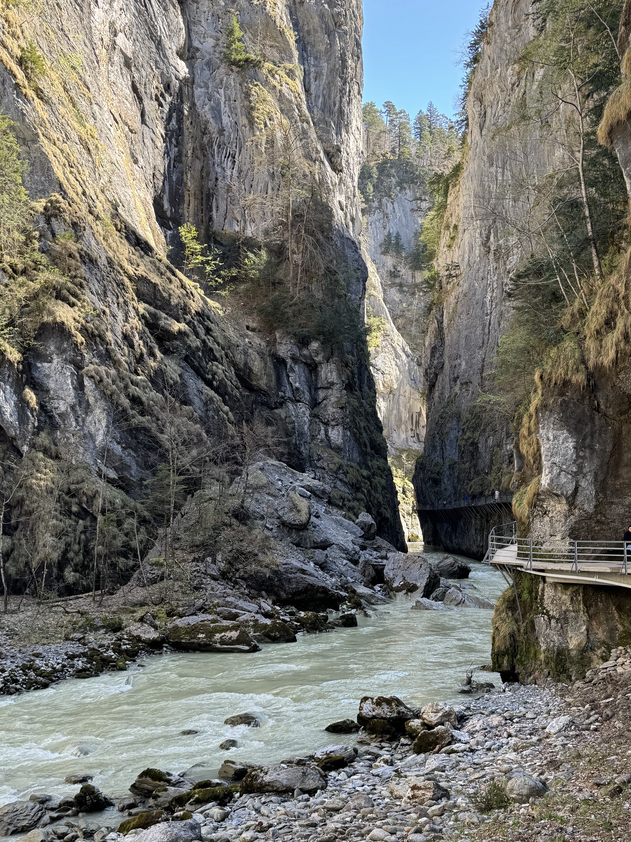 The Aare Gorge is like wandering into another world