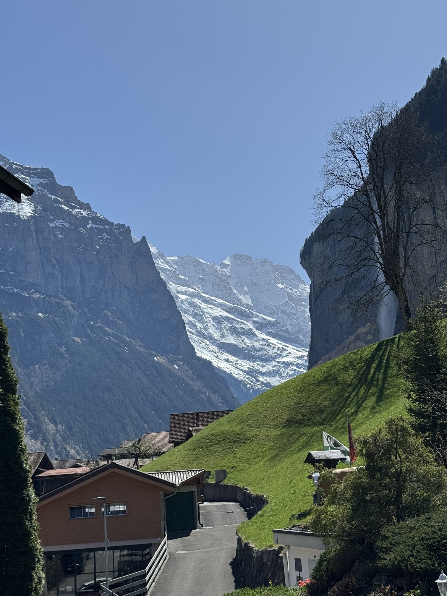 This was the view from outside my hotel room every day